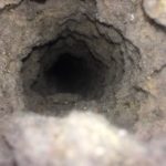 dryer vent clogged with link