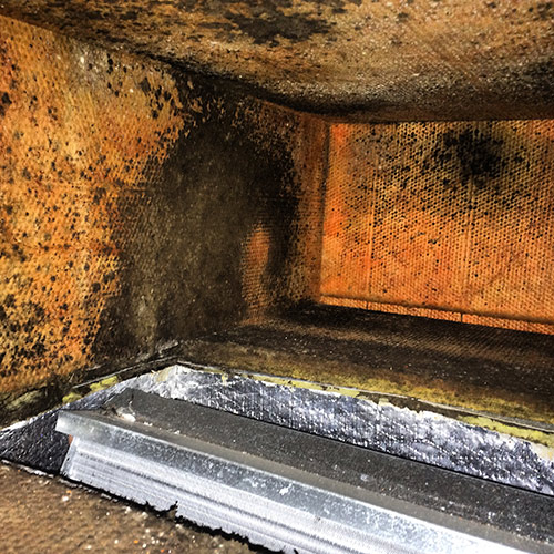 mold in air duct